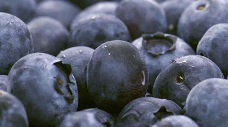 蓝莓为什么这么贵（蓝莓一天吃多少为宜）
