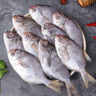 白鲳鱼多少钱一斤（白鲳鱼多少钱一斤市场价2024）